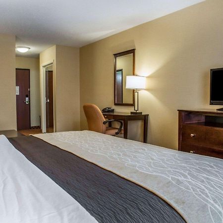 Comfort Inn Naugatuck-Shelton, Ct Ngoại thất bức ảnh