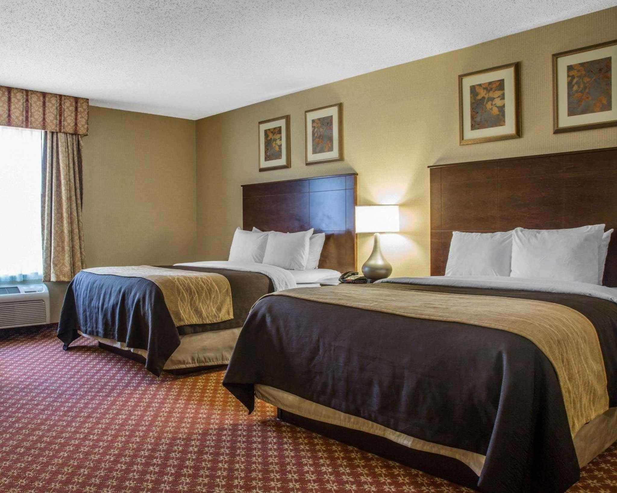 Comfort Inn Naugatuck-Shelton, Ct Ngoại thất bức ảnh